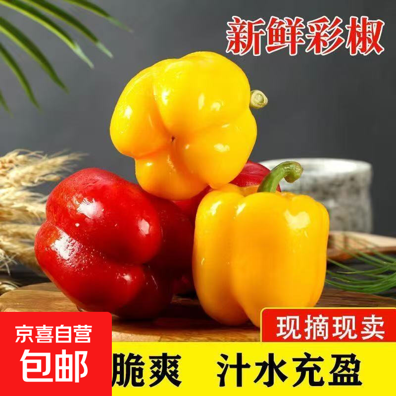 新鲜五彩灯笼椒甜椒七彩水果椒寿光蔬菜太空椒新鲜蔬菜 彩椒红黄3斤