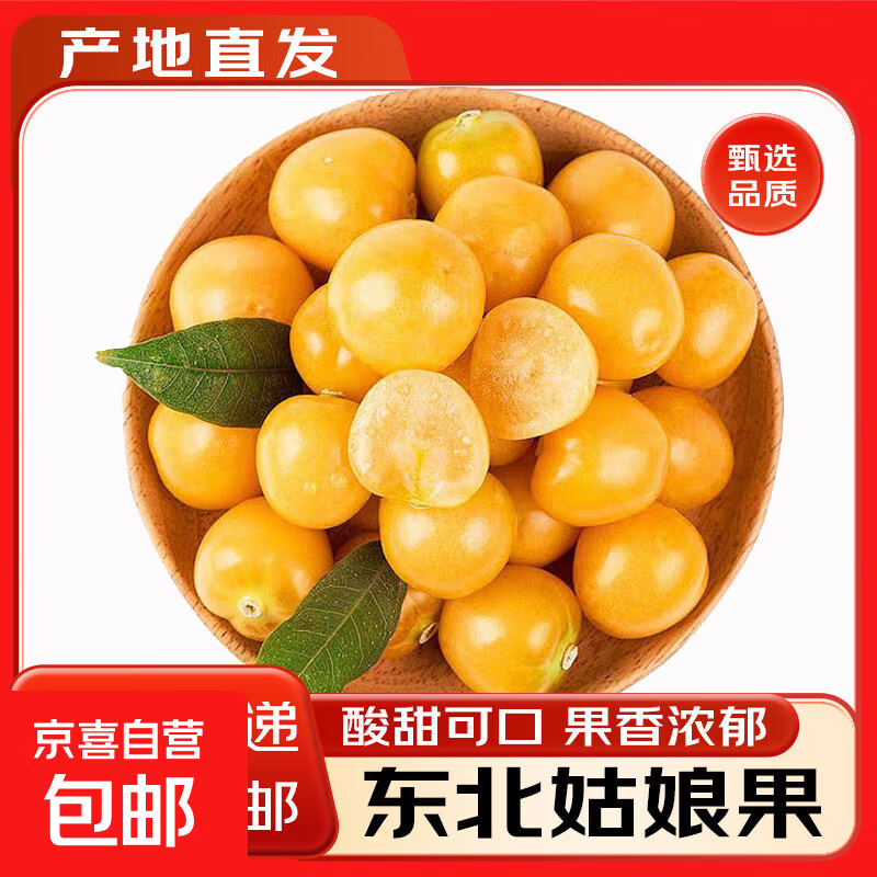 东北姑娘果黄菇凉灯笼果姑茑新鲜当季水果整箱 【很值】姑娘果2斤