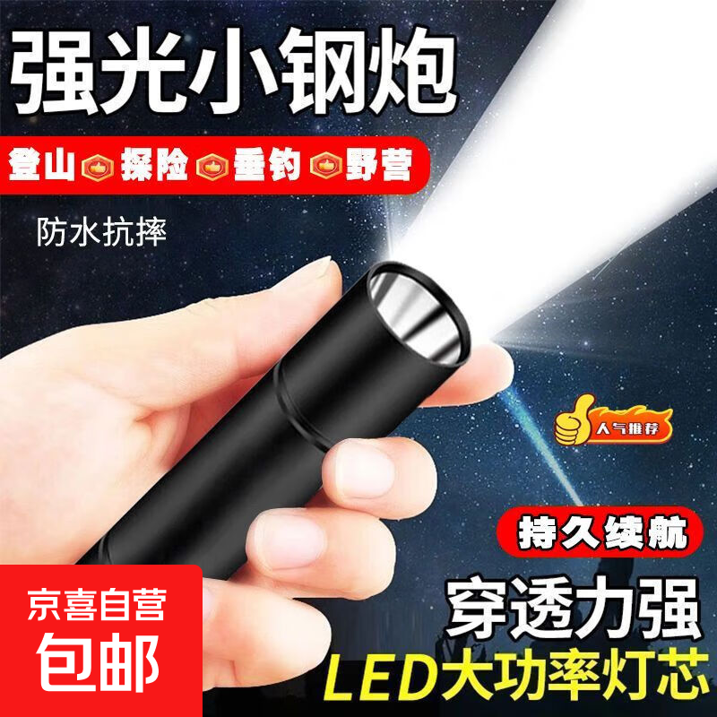 强光手电筒超亮便携迷你户外随身定焦小手电USB充电家用学生手电 顶级爆亮【顶配款 X9芯】 迷你随身小手电【便携露营 学生家用】