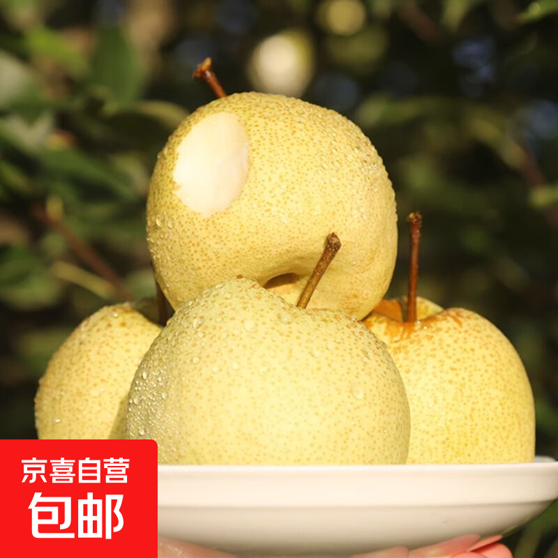 京喜加正宗砀山老树酥梨当季新鲜水果梨子秋季沐驰新17 酥梨带箱2斤