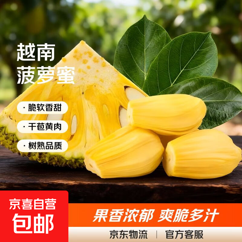 整个干苞菠萝蜜脆甜香甜浓香气扑鼻切口验生熟 带皮原切真空装1.5-2斤