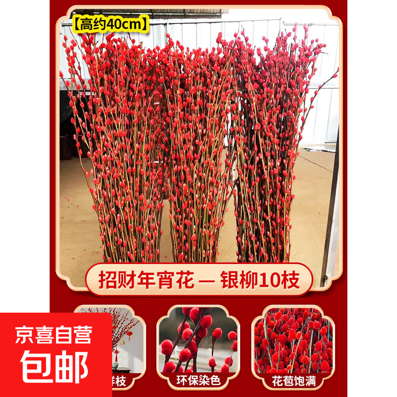 银柳鲜枝干枝真花家居摆件年宵花水培植物雪柳客厅室内装饰好养活 【精品A+级】银柳高45厘米左右10支【新年红】 不含盆