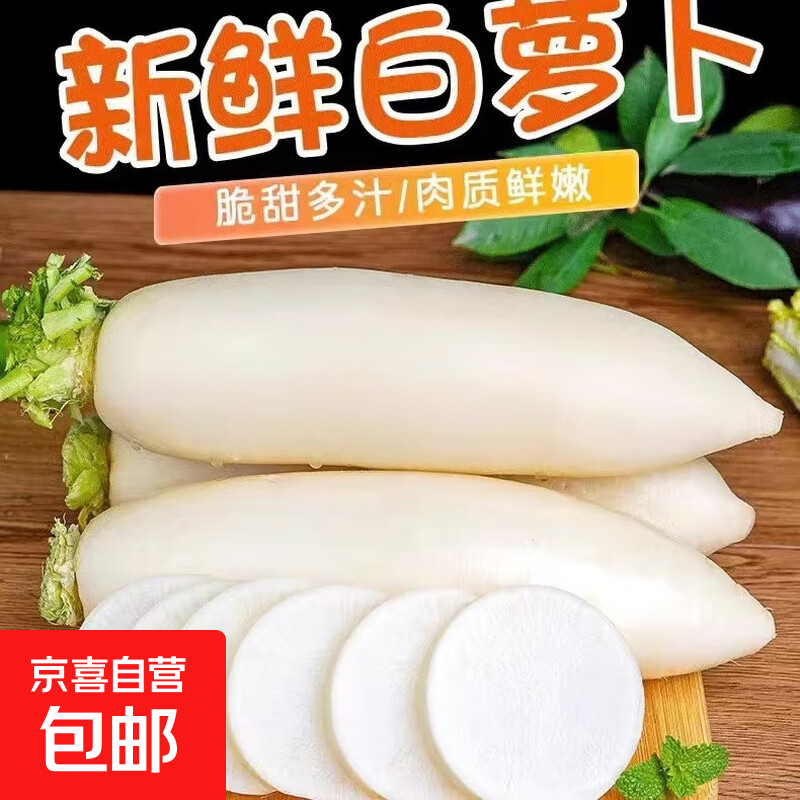 新鲜白萝卜当季白皮天脆爽口白萝卜农家自种纯天然可腌泡萝卜蔬菜 新鲜白萝卜2斤 带箱