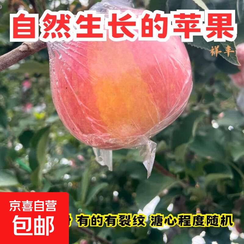 山东红富士膜袋苹果脆甜多汁苹果礼盒水果丑苹果生鲜苹果花牛礼盒 红富士脆甜膜袋75mm-80mm 【净重4.5斤】活动款