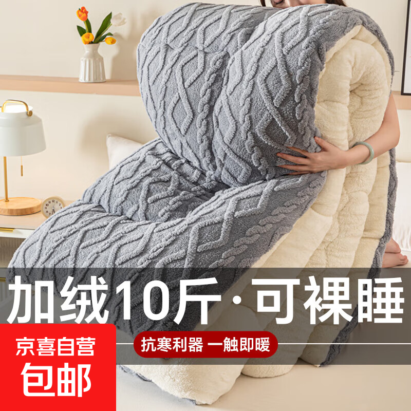 羊羔绒棉被被子冬被加绒加厚秋冬被芯保暖10斤新款单人被牛奶绒 灰色 1.8*2.2米-约8斤