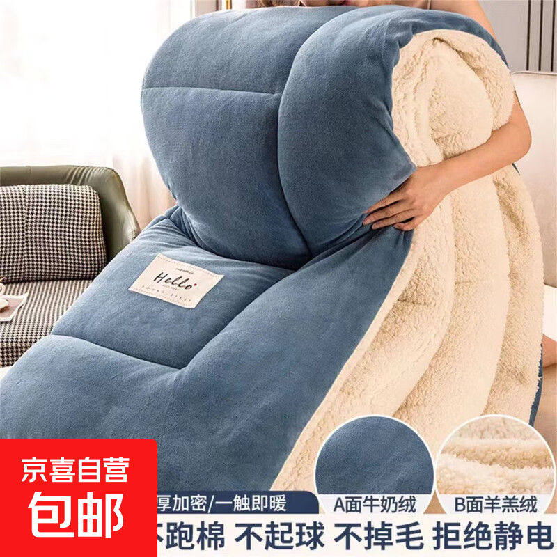 羊羔绒被子冬被棉被被芯牛奶绒加厚保暖冬天宿舍单人学生冬季被褥 蓝色 2.0*2.3米-约10斤