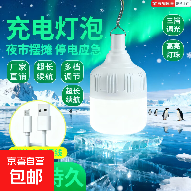 【便携露营】智能家用超长续航超耐用停电LED夜市摆地摊厨房厕所爆亮无线移动充电灯地摊灯户外灯 三档调节+充电【1个装】户外灯