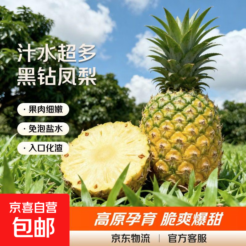 云南黑钻凤梨 新鲜水果非菠萝手撕凤梨产地直发【需催熟】 1个装 单果1斤起（小果）