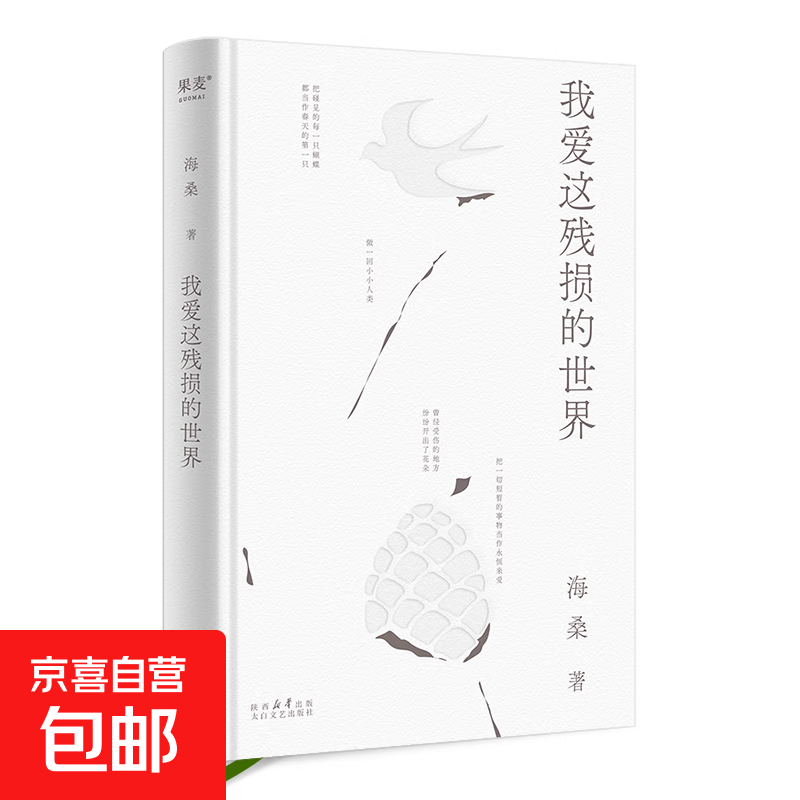 【官方直营】我爱这残损的世界 海桑全新诗集 小嘉  诗歌 我是你流浪过的一个地方作者 用心描述生活细节里的真美 果麦出品  阅读狂欢节