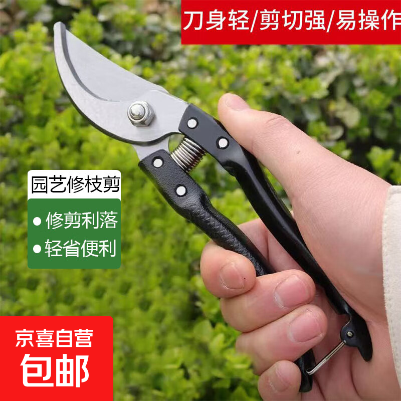 强力剪园艺剪不锈钢剪刀剪枝剪专用省力剪子切屑花芽修花剪刀修枝剪剪刀 sk5园艺剪