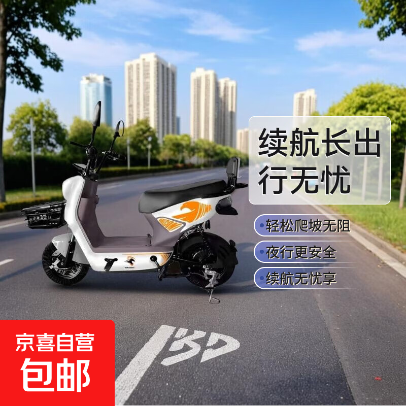 【超长续航】国标电动车成人两轮电动自行车小型锂电池电瓶车双人代步车电动自行车 全新国标-全国可上牌-超长续航【白色拉花款】 【普通款】铅酸电池48v12Ah续航15公里左右