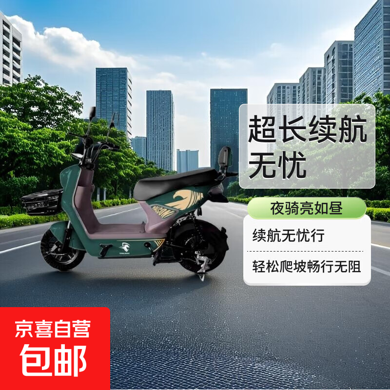 【超长续航】国标电动车成人两轮电动自行车小型锂电池电瓶车双人代步车电动自行车 全新国标-全国可上牌-超长续航【墨绿拉花款】 【普通款】铅酸电池48v12Ah续航15公里左右