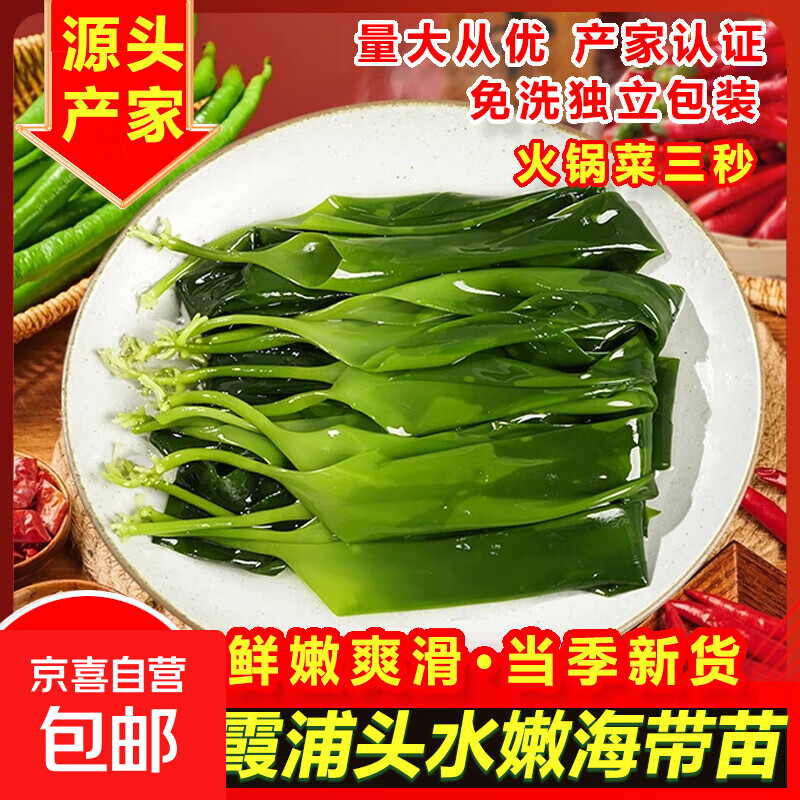 海带嫩苗商用霞浦新鲜盐渍小海带芽嫩苗非干货火锅专用食材三秒菜 【泡发1.5-2斤】海带苗500g*1包