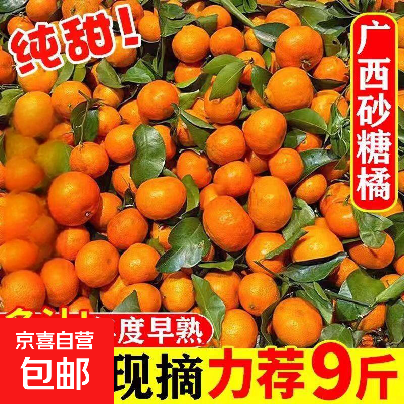 【广西特产】广西现摘现发沙糖桔酸甜多汁老人孕妇均可食用 沙糖桔带箱9斤