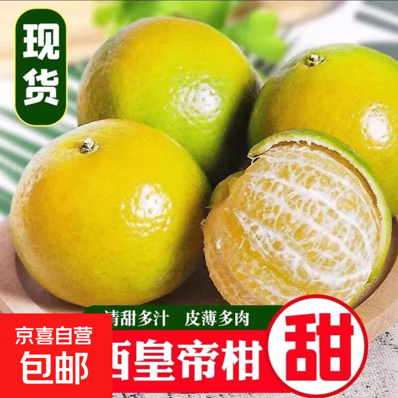 广西皇帝柑 新鲜薄皮多汁 广西皇帝柑1斤中果