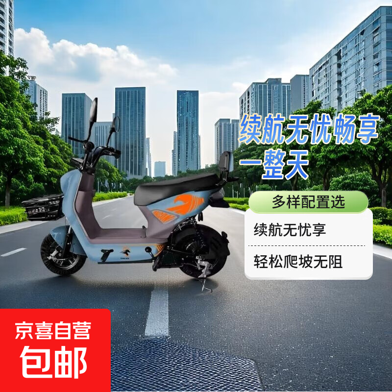 【超长续航】国标电动车成人两轮电动自行车小型锂电池电瓶车双人代步车电动自行车 全新国标-全国可上牌-超长续航【深蓝拉花款】 【普通款】铅酸电池48v12Ah续航15公里左右