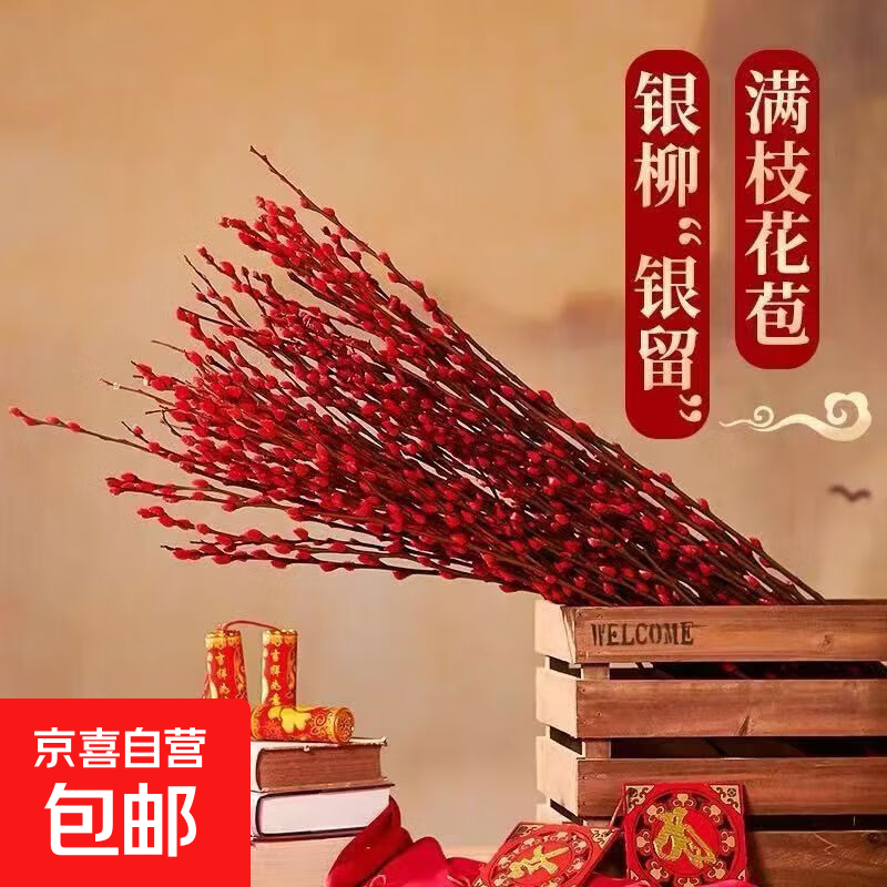 银柳真花鲜枝客厅摆件耐寒年宵花红色干花枝室内招财水培装饰花束 红色银柳100cm50支+2个小灯笼