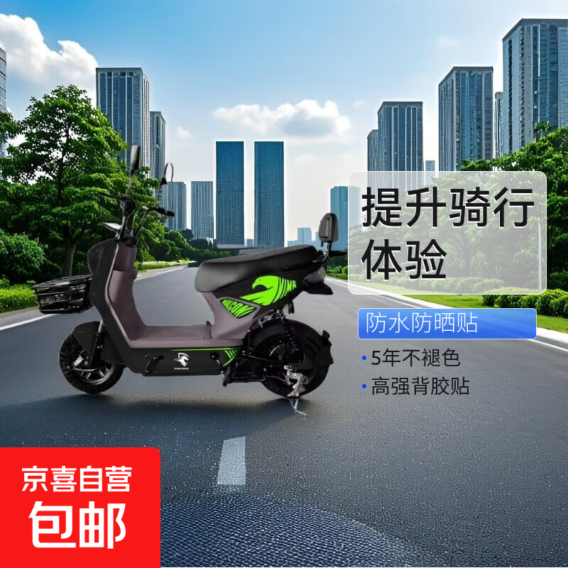 【超长续航】国标电动车成人两轮电动自行车小型锂电池电瓶车双人代步车电动自行车 全新国标-全国可上牌-超长续航【黑色拉花款】 【普通款】铅酸电池48v12Ah续航15公里左右