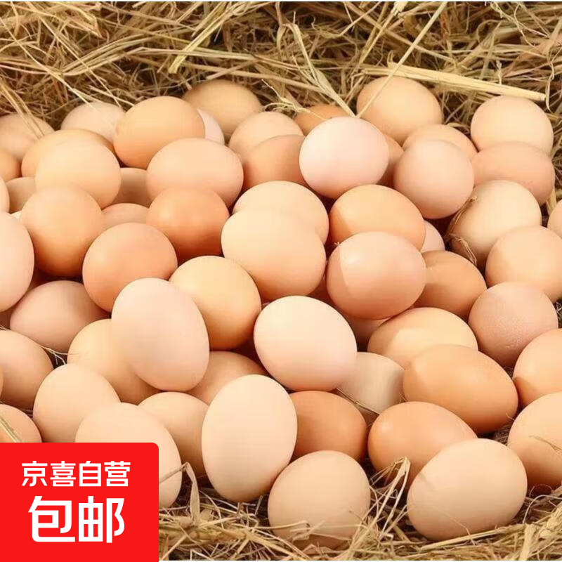 �ֵ��������ι���������ʼ����������ʵ�ö50g 10ö 5.99Ԫ