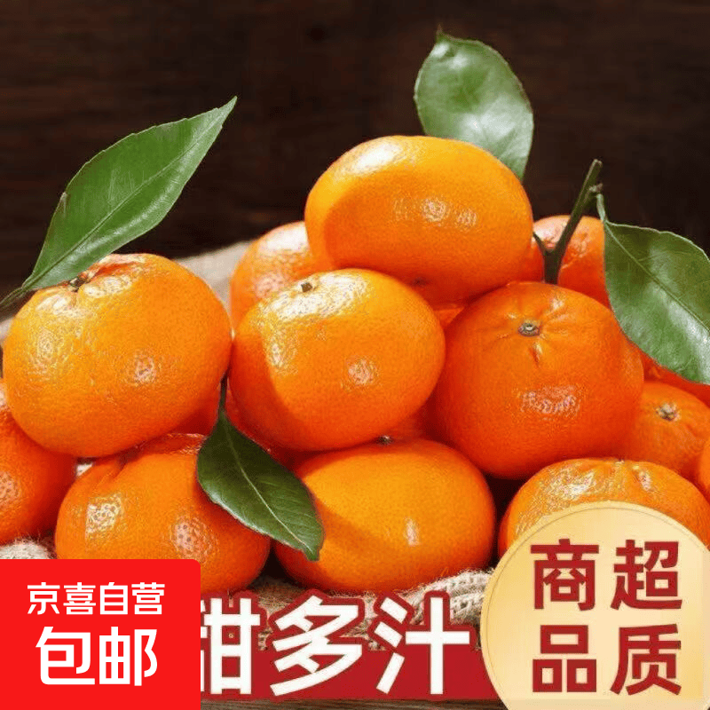 正宗广西砂糖橘爆甜薄皮沙糖桔子当季新鲜甜蜜小橘子 带箱5斤装