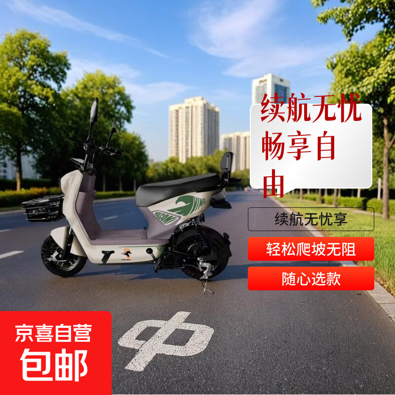 【超长续航】国标电动车成人两轮电动自行车小型锂电池电瓶车双人代步车电动自行车 全新国标-全国可上牌-超长续航【米灰色拉花款】 【旗舰款】天能铅酸电池48v12Ah续航35公里左右