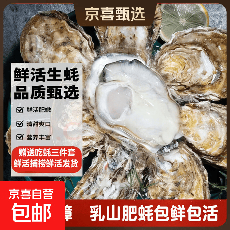 鲜活乳山生蚝新鲜正宗乳山牡蛎海蛎子一整箱5斤箱/10斤箱 5XL特大蚝（8-11只每箱）净重5斤