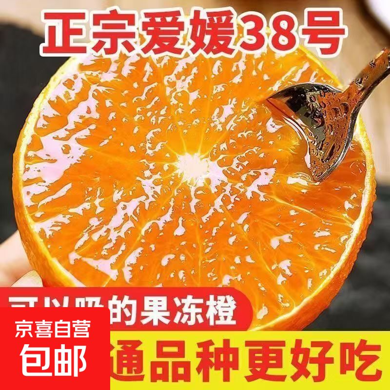 【低价首选】正宗四川爱媛38号果冻橙新鲜柑橘 9斤 小果