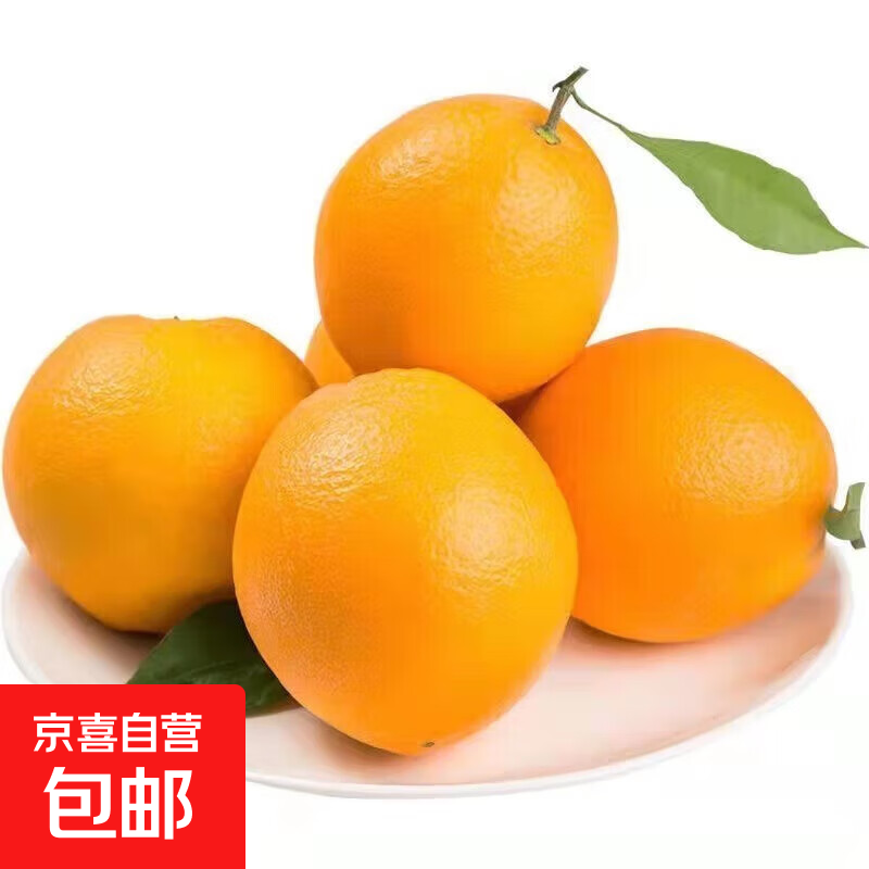 正宗赣南早橙手剥橙10斤当季水果新鲜现摘果冻橙伦晚脐橙 带箱1斤60-70mm