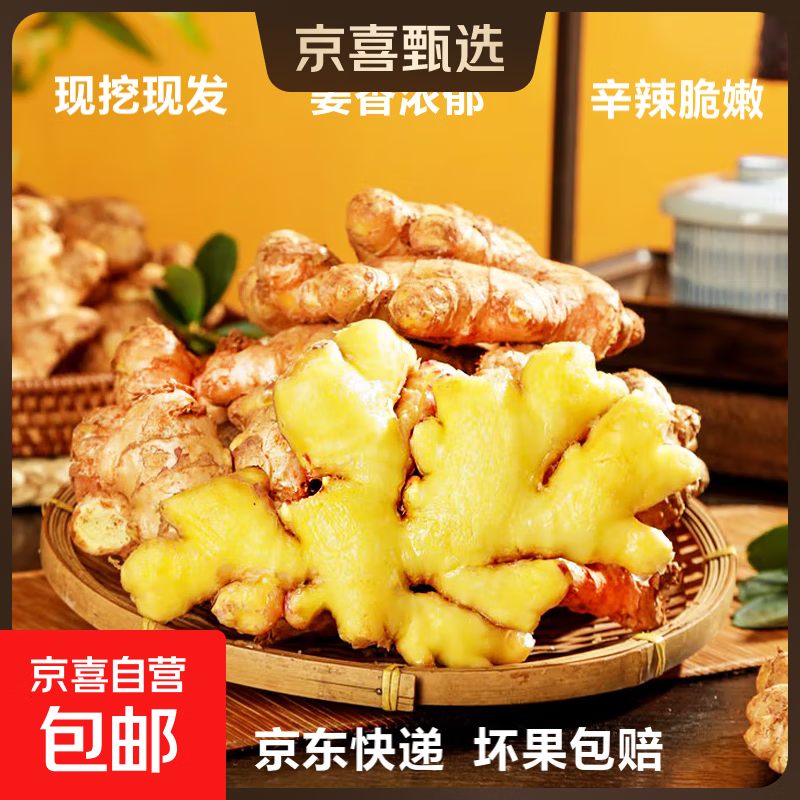 云南小黄姜新鲜生姜子生鲜姜月子姜超市蔬菜调料姜 净重500g