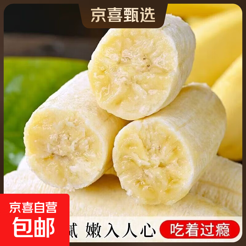 广西小米蕉新鲜水果现摘青皮发货邦达特产生鲜馆 小米蕉统货 1斤装（带箱）