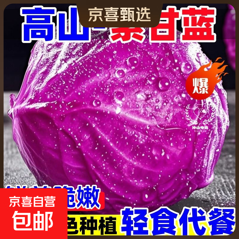 高山露天紫甘蓝新鲜紫包菜卷心菜花青素沙拉蔬菜包菜凉拌新鲜蔬菜 带箱1斤（产地直发）/1个小小的 【高山绿色种植】每日新鲜采收