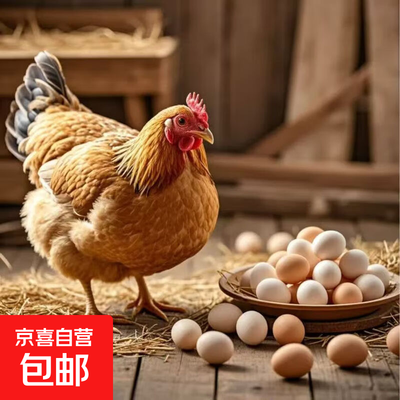 皖南小镇土鸡蛋初生蛋月子鸡蛋鲜鸡蛋现捡现发月子鸡蛋40-50g±5g 6枚土鸡蛋