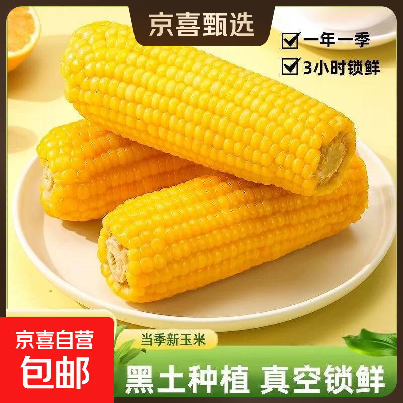 当季新货东北黄甜糯玉米棒10支真空包装低脂黄糯大棒甜东北黏苞米 头茬黄玉米10棒【均重&gt;180克】