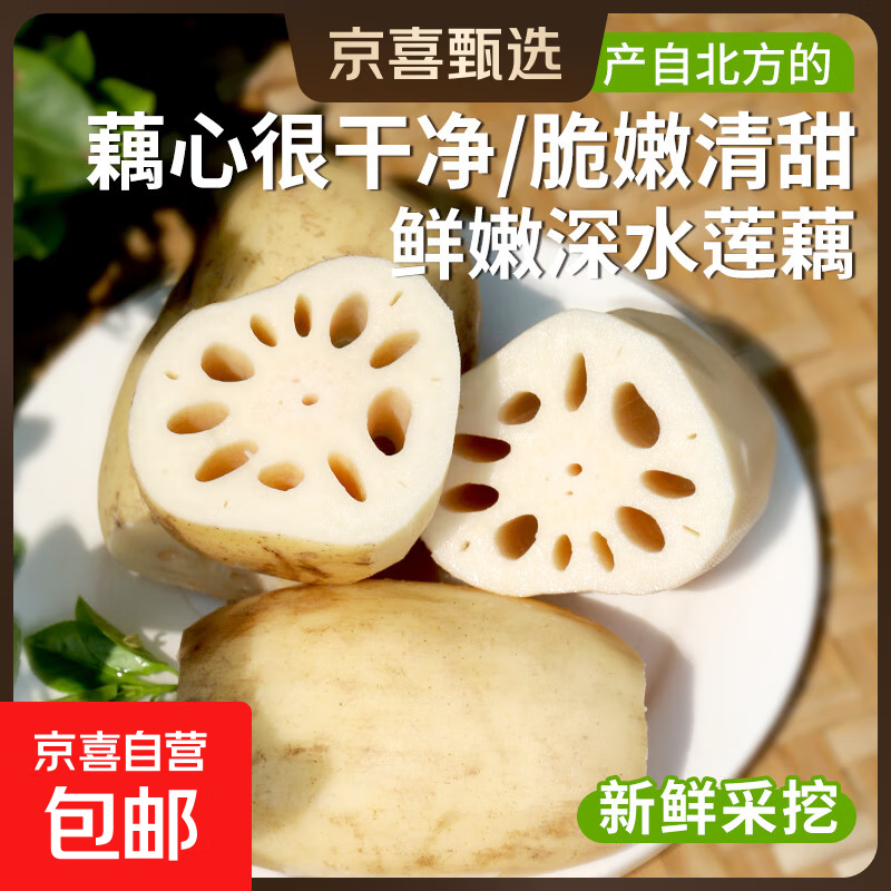 新鲜莲藕脆嫩多汁现发当季鲜藕下酒菜清甜凉拌 精品莲藕-2斤