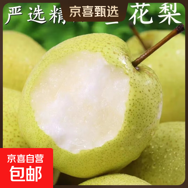 河北雪花梨【适合煲汤】新鲜酥梨远达新7【工厂直卖】 雪花梨带箱2斤
