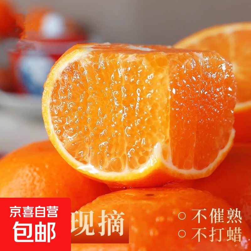 【大促爆款】广西沃柑新鲜水果当季整箱时令现摘现发 【带箱1斤装】单果60mm+