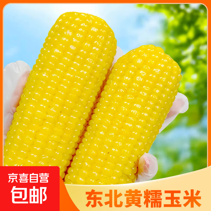 东北甜糯玉米棒 黄糯白糯真空包装加热即食玉米段软粘玉米苞米 甜糯玉米4棒（单棒130g-180g）