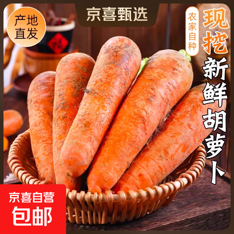 新鲜现挖现发水果红萝卜胡萝卜早餐低脂超市水果蔬菜 水果红胡萝卜2斤 含箱