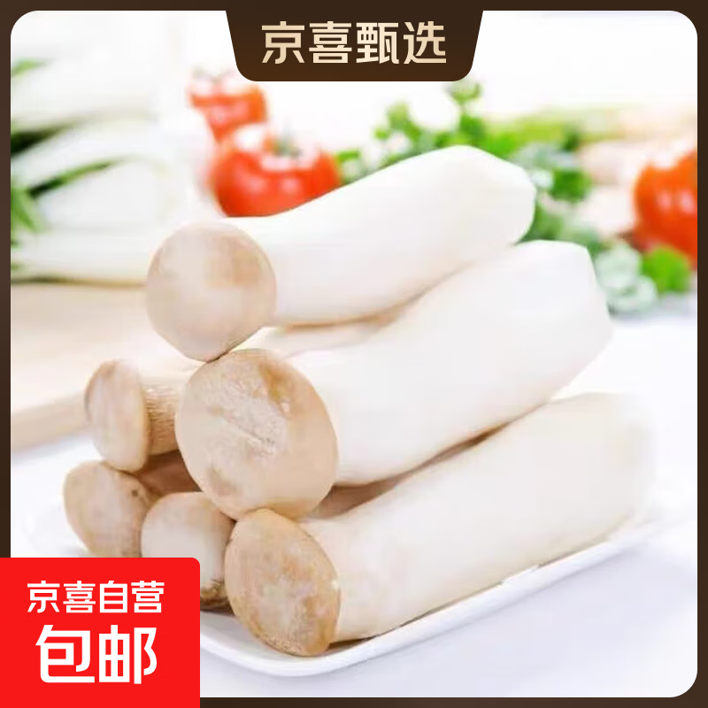 【新鲜杏鲍菇】涮烤煲汤酱菜伴侣生鲜蔬菜食用菌菇 1斤杏鲍菇（500ｇ*1）