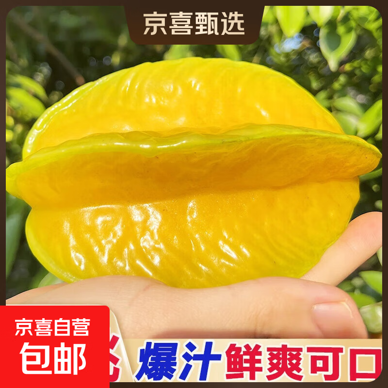 福建漳州正宗下河杨桃新鲜水果特大果五角星洋桃低糖水果 带箱1斤（2-3个）