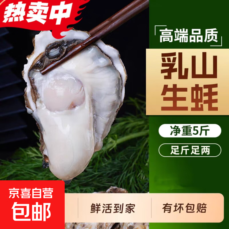 乳山特大号生蚝牡蛎鲜活新鲜一箱带壳生吃海蛎子大蚝王 正宗乳山生蚝1两左右4斤（约40只）