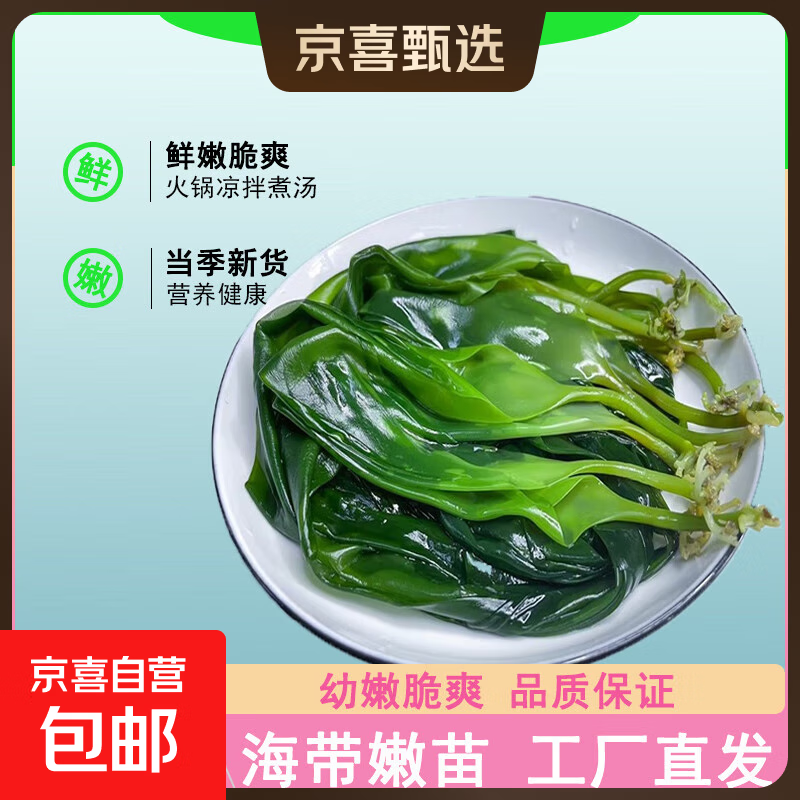 海带嫩苗霞浦海带苗火锅3秒菜凉拌菜海带苗海带嫩苗霞浦特产海产 [头水海带嫩苗]500g*1