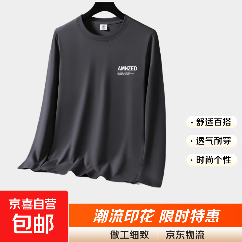 2025秋季新款长袖t恤男宽松圆领纯色打底衫潮流百搭休闲帅上衣-SL 【一件装】深灰色 3XL 【建议140-160斤】