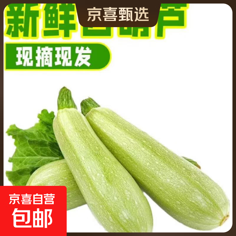 山东新鲜西葫芦三月瓜现摘现发 西葫芦 1斤