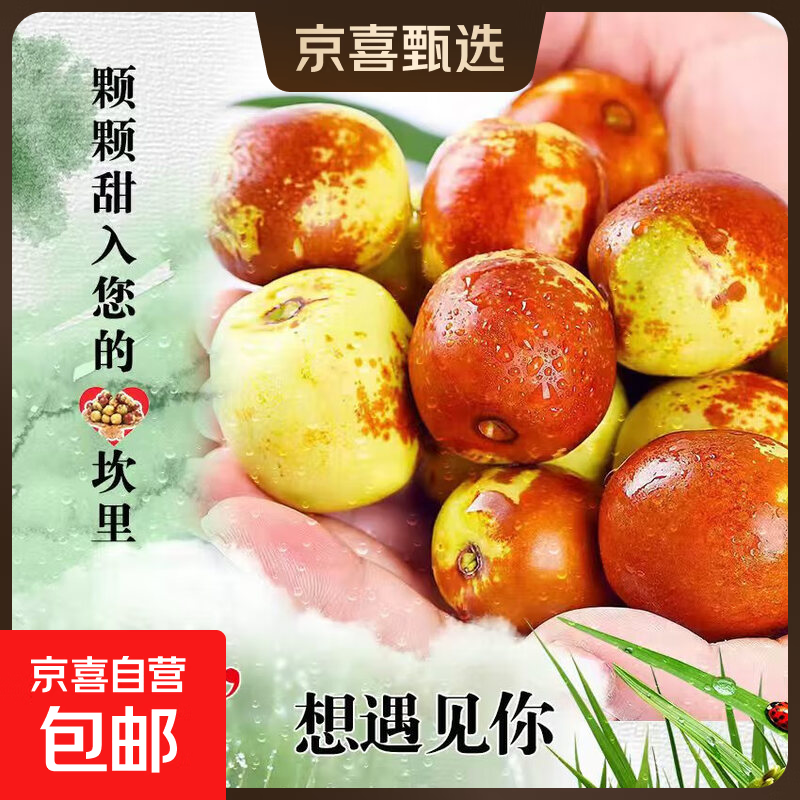 【现货】应季山东沾化冬枣脆甜冬枣新鲜水果鲜枣大枣脆枣 带箱1斤 单果10-12g