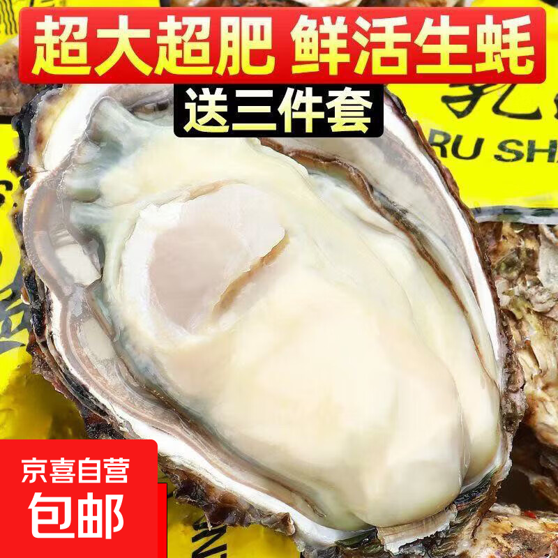 极速发货正宗野生生蚝鲜活生蚝牡蛎带壳海蛎子海鲜水产贝类一整箱 8斤精品大生蚝（18-24只/箱）