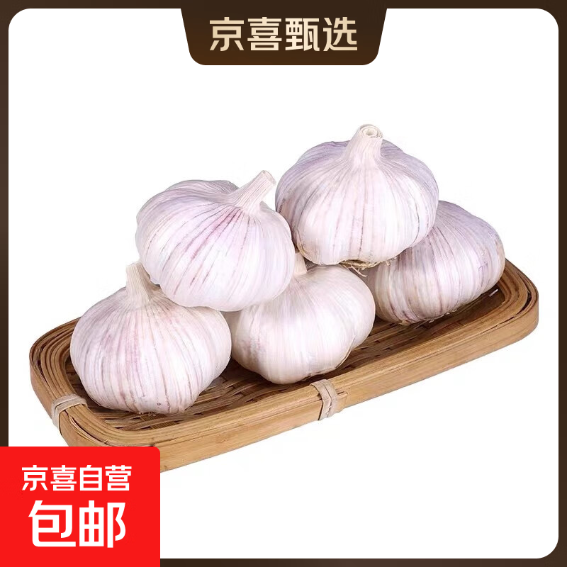 山东金乡农户直发【超低价】新鲜蒜干蒜大蒜头批蒜头精选批发装 5头尝鲜 220g （5-5.5cm）
