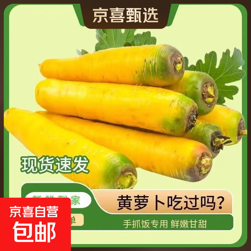 【真便宜】新疆冰糖心金黄胡萝卜水果萝卜新鲜蔬菜手抓饭直播间 黄胡萝卜 含箱500g