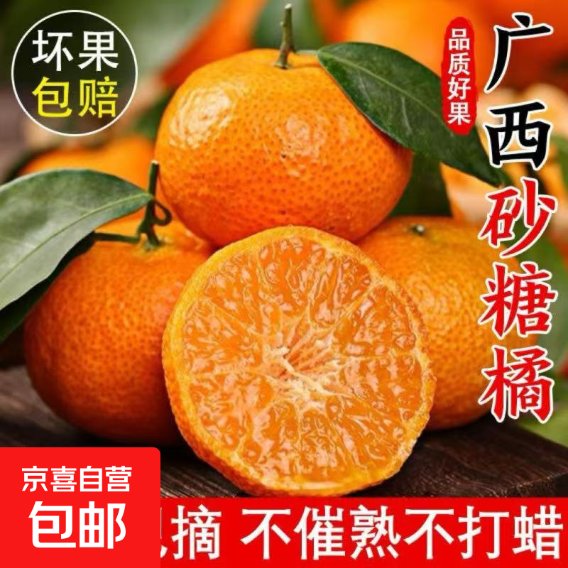 正宗广西蜜广砂糖桔爆甜多汁个大皮薄新鲜应季水果 带箱5斤装净重4.5斤40mm+