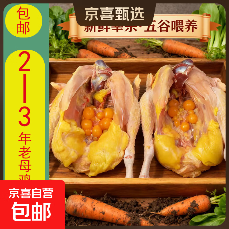 现杀黄油老母鸡土鸡林间散养土鸡蛋鸡草鸡月子鸡煲汤肉走地鸡净重 黄油老母鸡2-2.5斤*2只